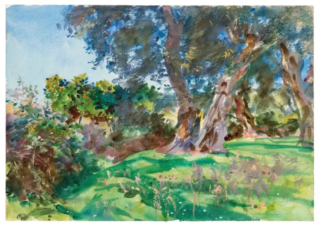 Olive Trees, Corfu, John Singer Sargent, 1909